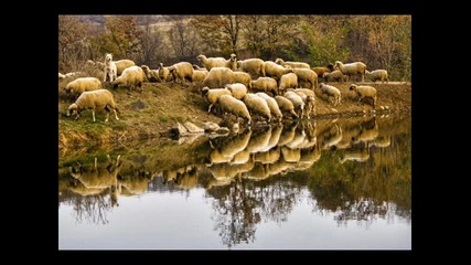 Орк. Варненци - Кючек Брестак 