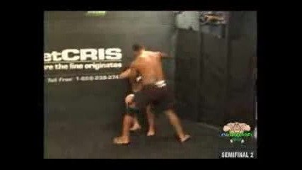Brutal Mma 8 (boi)