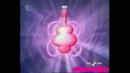 Winx Club Flora - All Transformation