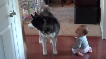 Куче имитира бебе