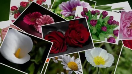 Красотата на всяко едно цвете! ... (music Frédéric Delarue)
