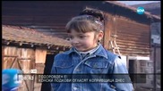 Конни надбягвания на Тодоровден в Копривщица