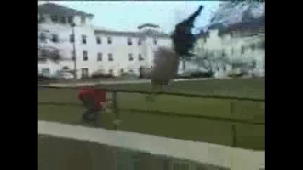Bam Margera's Insane Stunts