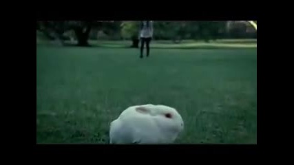 Avril Lavigne - Alice