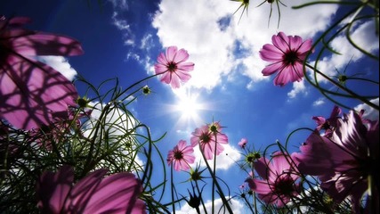 Max Graham Feat. Neev Kennedy - Sun In The Winter (alex M.o.r.p.h. Remix) 