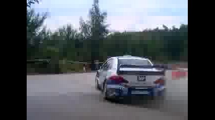 Wrc Rally Bulgaria F.turan Peshtera