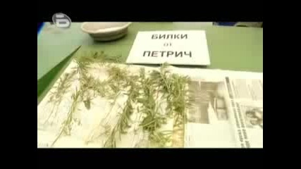Аламинут - Билки От Петрич