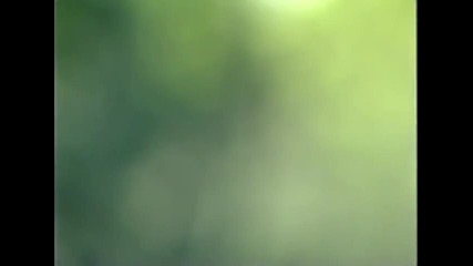 Sinan Sakic i Juzni Vetar - Sve je postalo pepeo i dim ( Jv Arhiva )