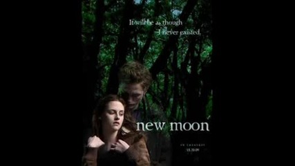 New Moon Fan posteri