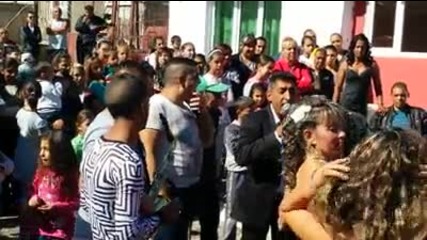 Chita ot bukovlak nai-dobriq