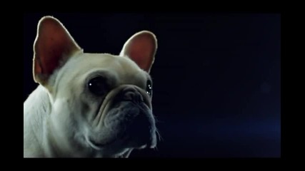 Swedish House Mafia - Save The World ( Official Video )
