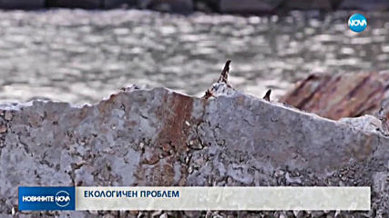 ЕКОЛОГИЧЕН ПРОБЛЕМ: Заливът Болата е застрашен от унищожение