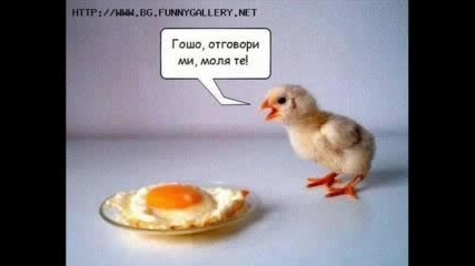 Смешни Картинки