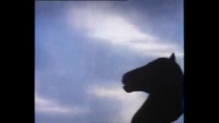 Echo & The Bunnymen