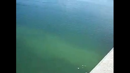 Не е страшно 
