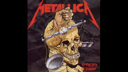 Metallica Forever!!!