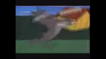 Tom I Jerry [new]