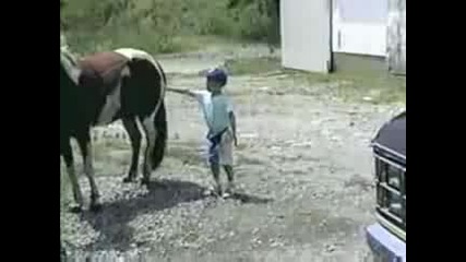 Ето защо не трябва да стоиш зад кон !