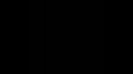 Stahlgewitter - Das System Hat Keine Fehler