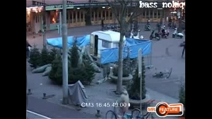 Крадеца На Елхи Си Изяде Боя!