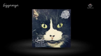 Gary Beck - Tammo Chanter Remixes Preview [high quality]