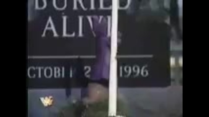 Wwf The Undertakers излиза от гроба