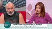 Кои са причините са агресия у домашните любимци
