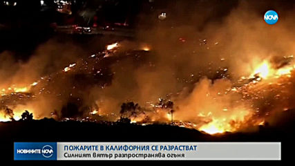 Новините на NOVA (31.10.2019 - централна емисия)