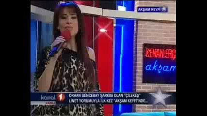 Linet - Cilekes klip