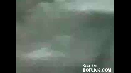 Chick Crashes Boyfriends Classic 1967 Shelby Cobra