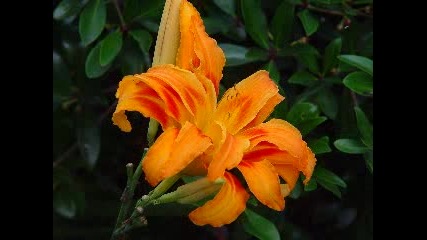 My Photos