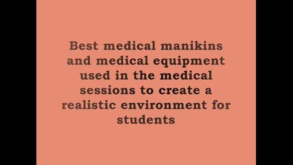 Best Bachelors Degree Programs