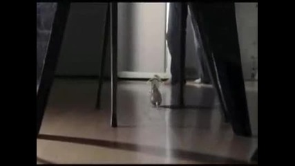 Mouse and Coca - Cola 