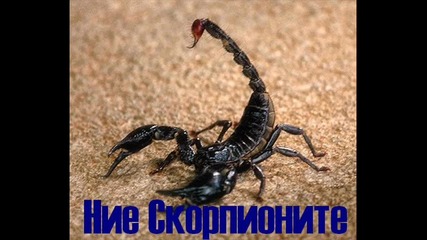 Real G--ние Скорпионите