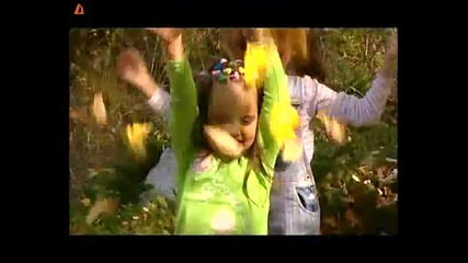 Хвърчило - Таралежите