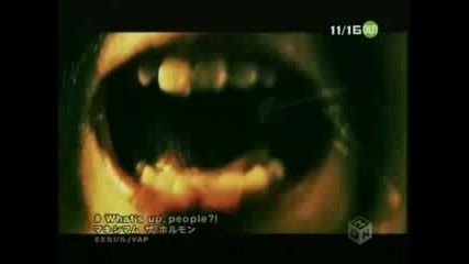 Maximum The Hormone - Whats Up People