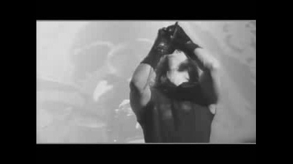 Danzig (The Misfits) - Am I Demon