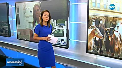 Новините на NOVA (17.07.2018 - следобедна емисия)