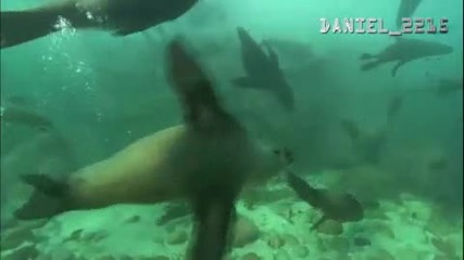 Нашата Планета