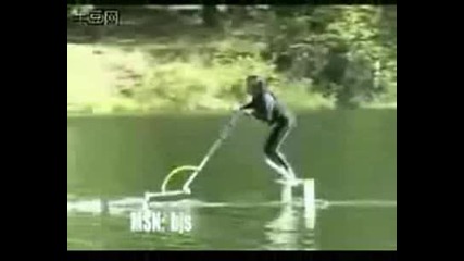 Водна птица