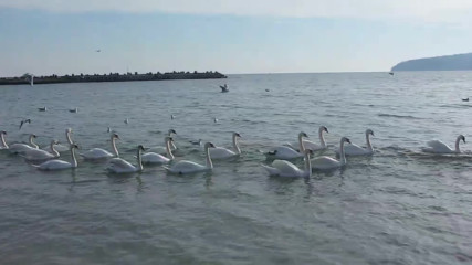 Varna - Black Sea Coast today 026