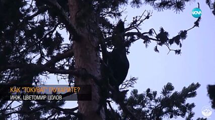 Осезаемо захлаждане около средата на май