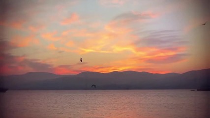 Sean Finn feat. Tinka - Summer Days (official Video)