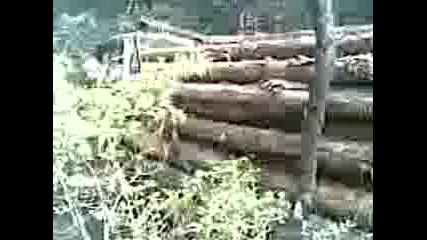 Видео000.3gp