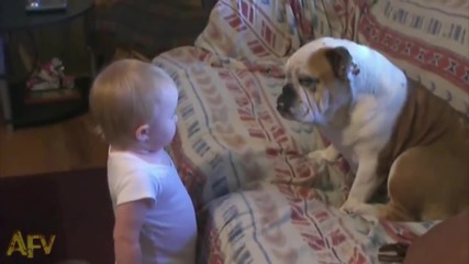 Бебе се аргументира пред куче ..