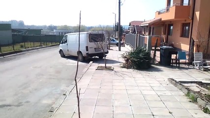 Ето така се вади Палма