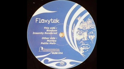 Floxytek - Insanity Rendered 