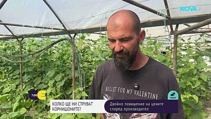 Защо цената на корнишоните е еднаква и в евро, и в лева