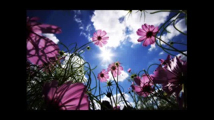 Station 89 - Ich will leben
