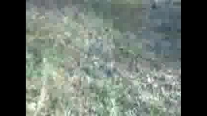 Atvista
